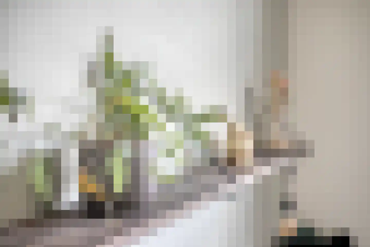 Ten Bleek 17 Beek en Donk thumbnail 45