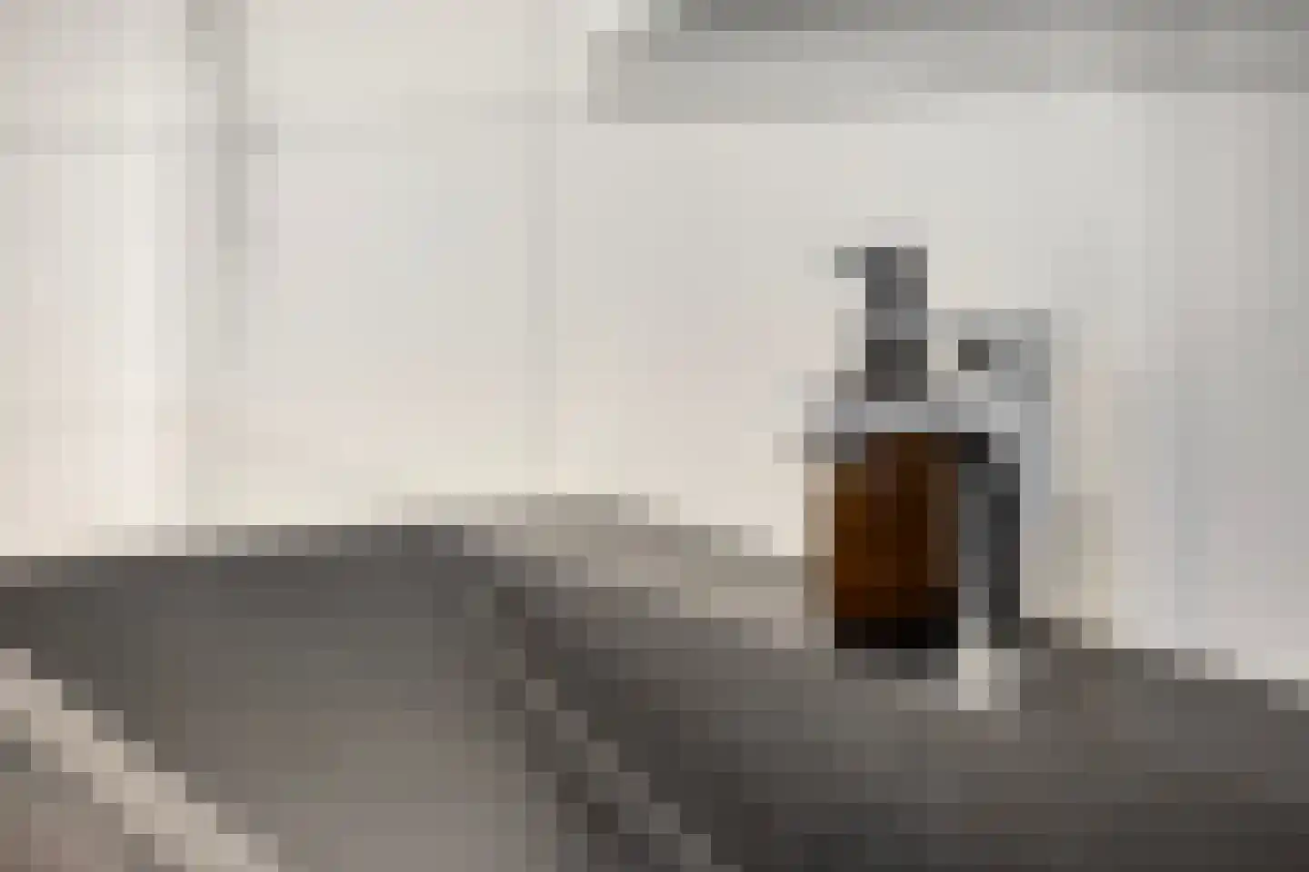 Ten Bleek 17 Beek en Donk thumbnail 48