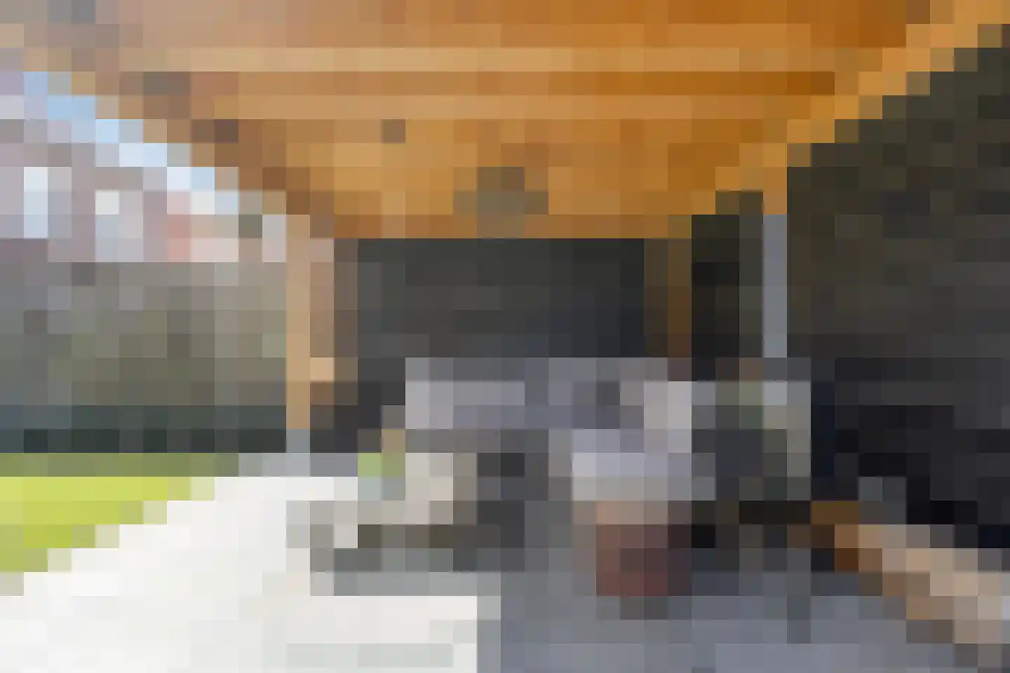 Ten Bleek 17 Beek en Donk thumbnail 75