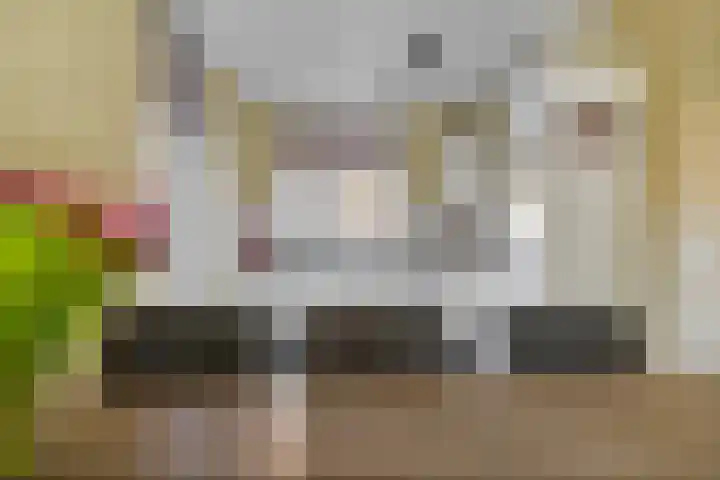 Ten Bleek 20 Beek en Donk thumbnail 11