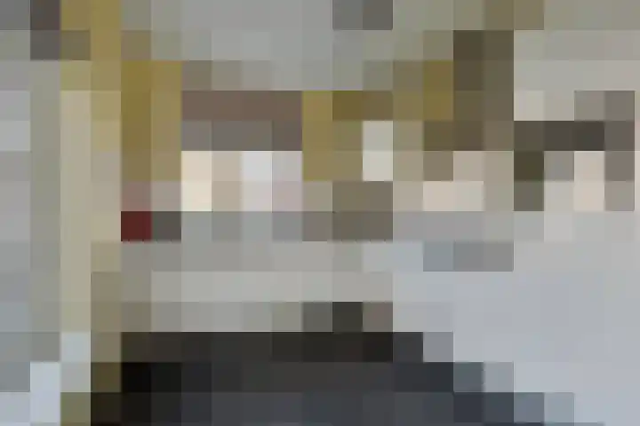 Ten Bleek 20 Beek en Donk thumbnail 12