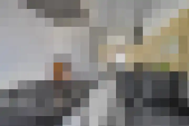 Ten Bleek 20 Beek en Donk thumbnail 14
