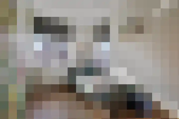 Ten Bleek 20 Beek en Donk thumbnail 20