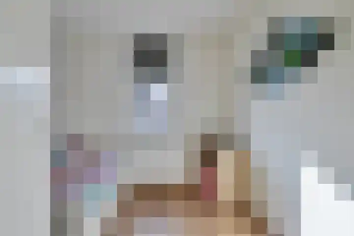 Ten Bleek 20 Beek en Donk thumbnail 21
