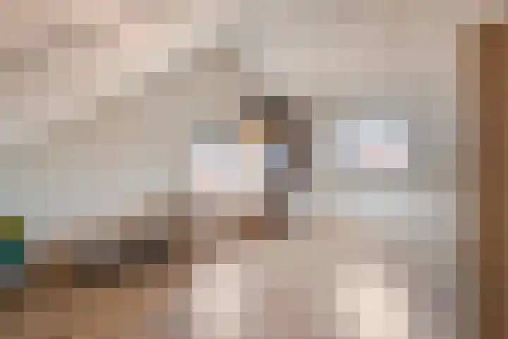 Ten Bleek 20 Beek en Donk thumbnail 24