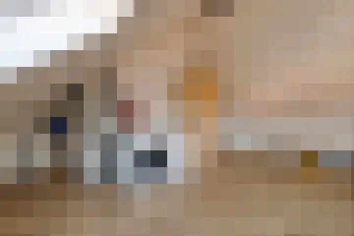 Ten Bleek 20 Beek en Donk thumbnail 26