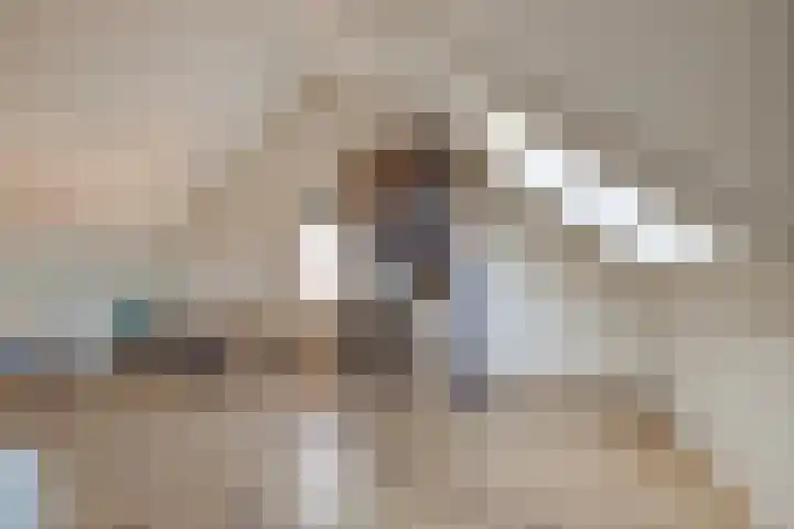 Ten Bleek 20 Beek en Donk thumbnail 27