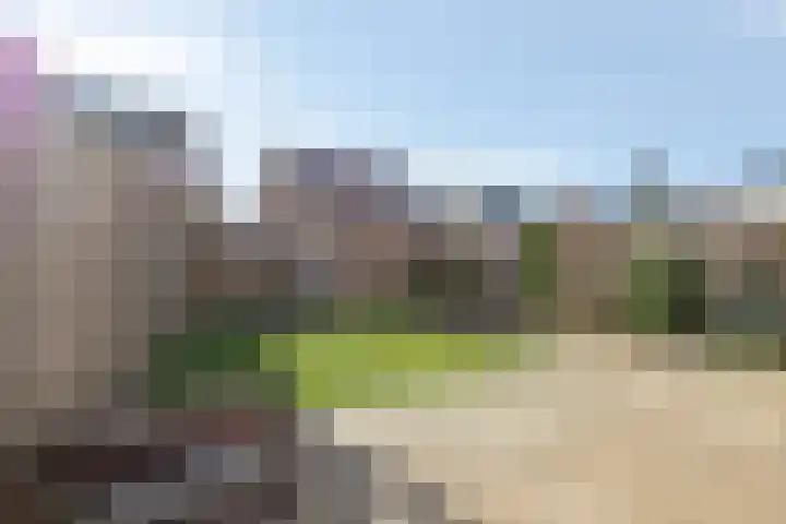 Ten Bleek 20 Beek en Donk thumbnail 28