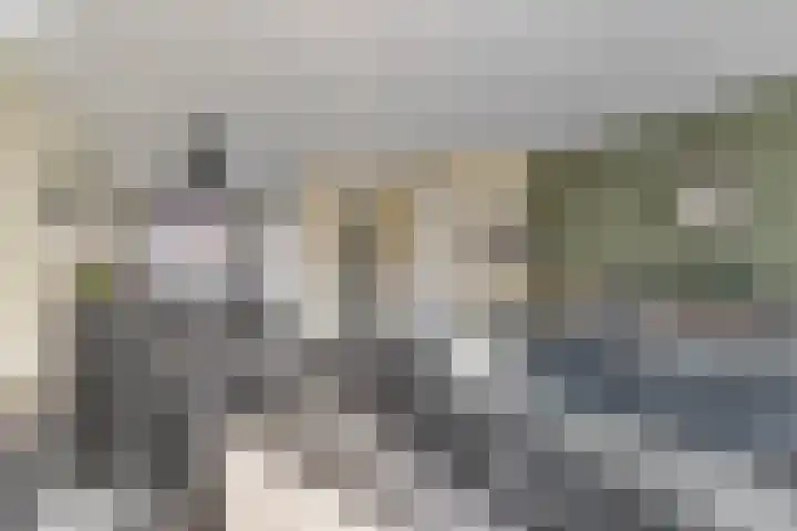 Ten Bleek 20 Beek en Donk foto 3