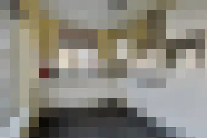Ten Bleek 20 Beek en Donk thumbnail 4