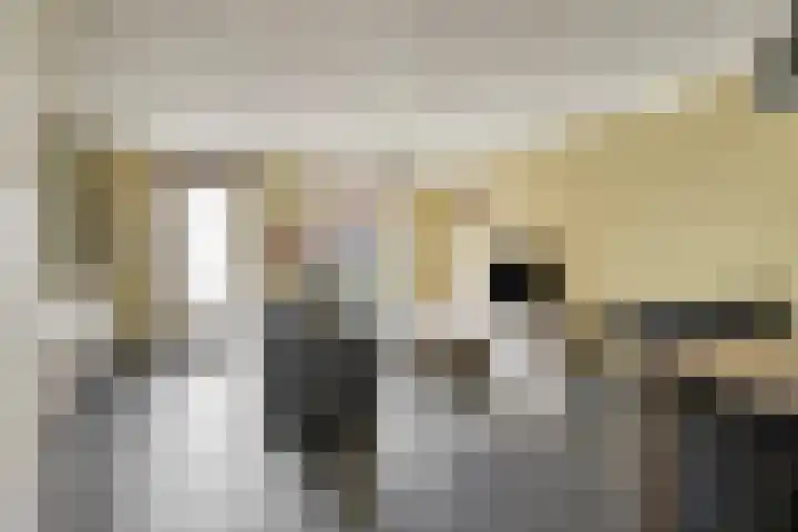 Ten Bleek 20 Beek en Donk thumbnail 6