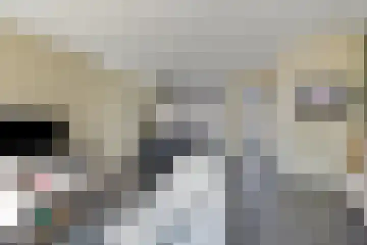 Ten Bleek 20 Beek en Donk thumbnail 8