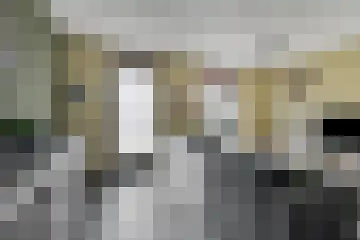 Ten Bleek 20 Beek en Donk thumbnail 9