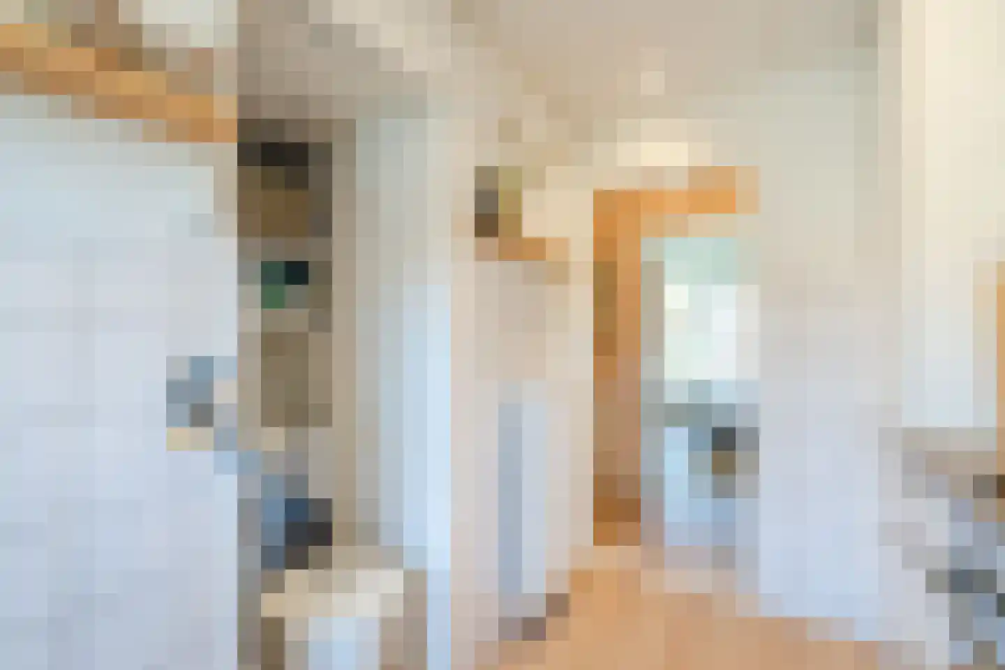 Ten Boomstraat 19 Hilversum thumbnail 28