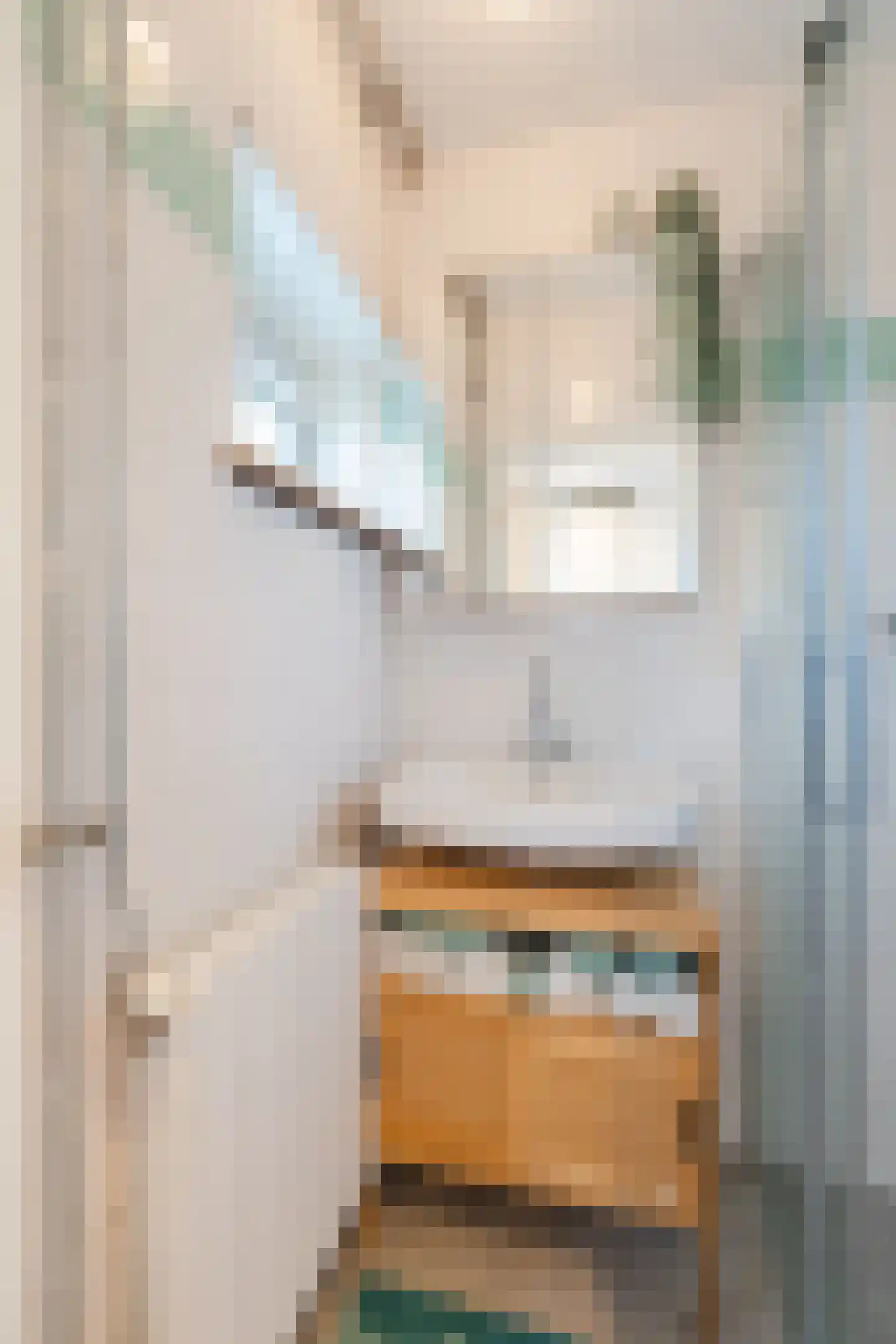 Ten Boomstraat 19 Hilversum thumbnail 31