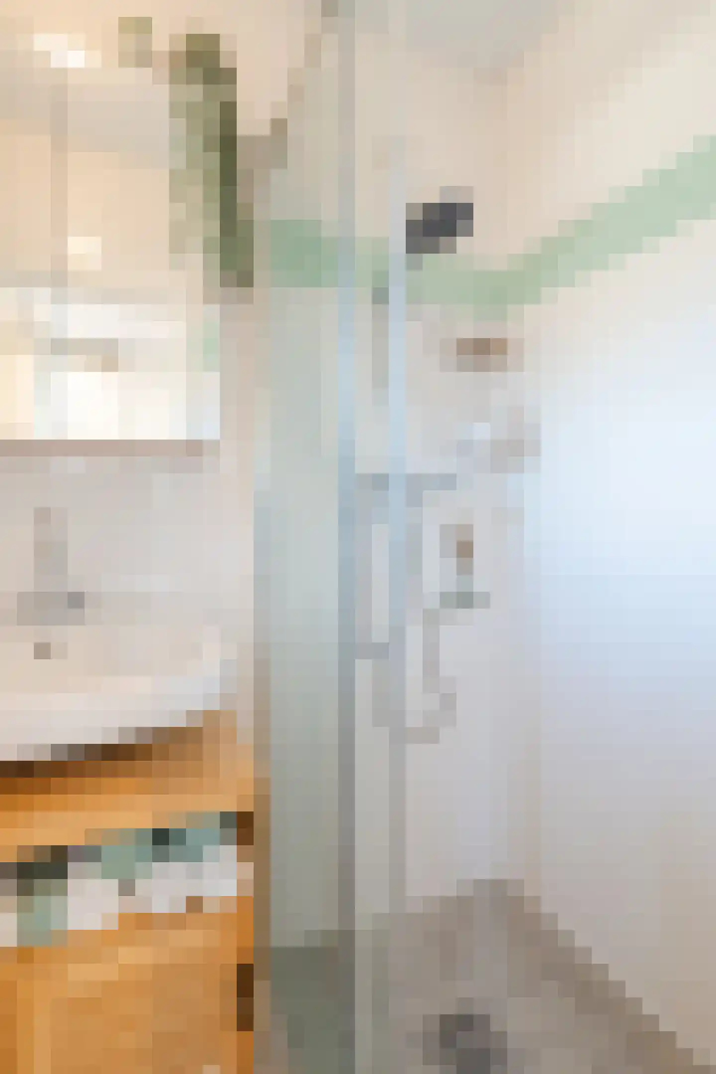Ten Boomstraat 19 Hilversum thumbnail 32