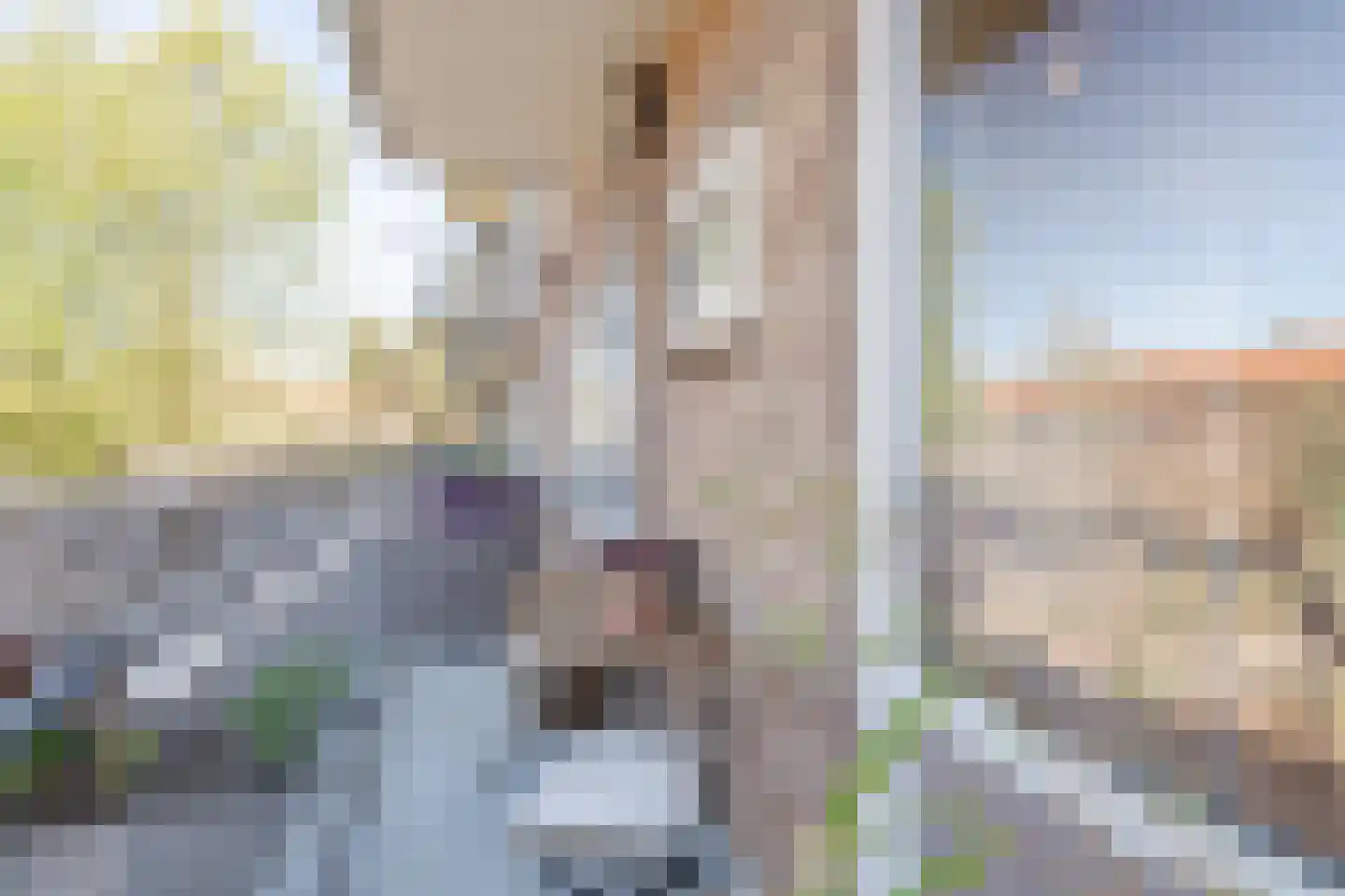 Ten Boomstraat 19 Hilversum thumbnail 33