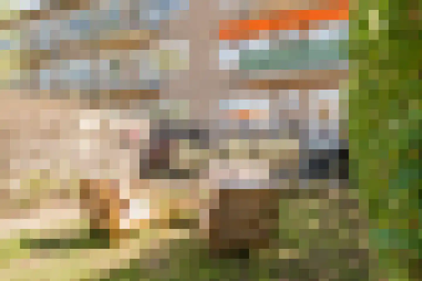 Ten Boomstraat 19 Hilversum thumbnail 34