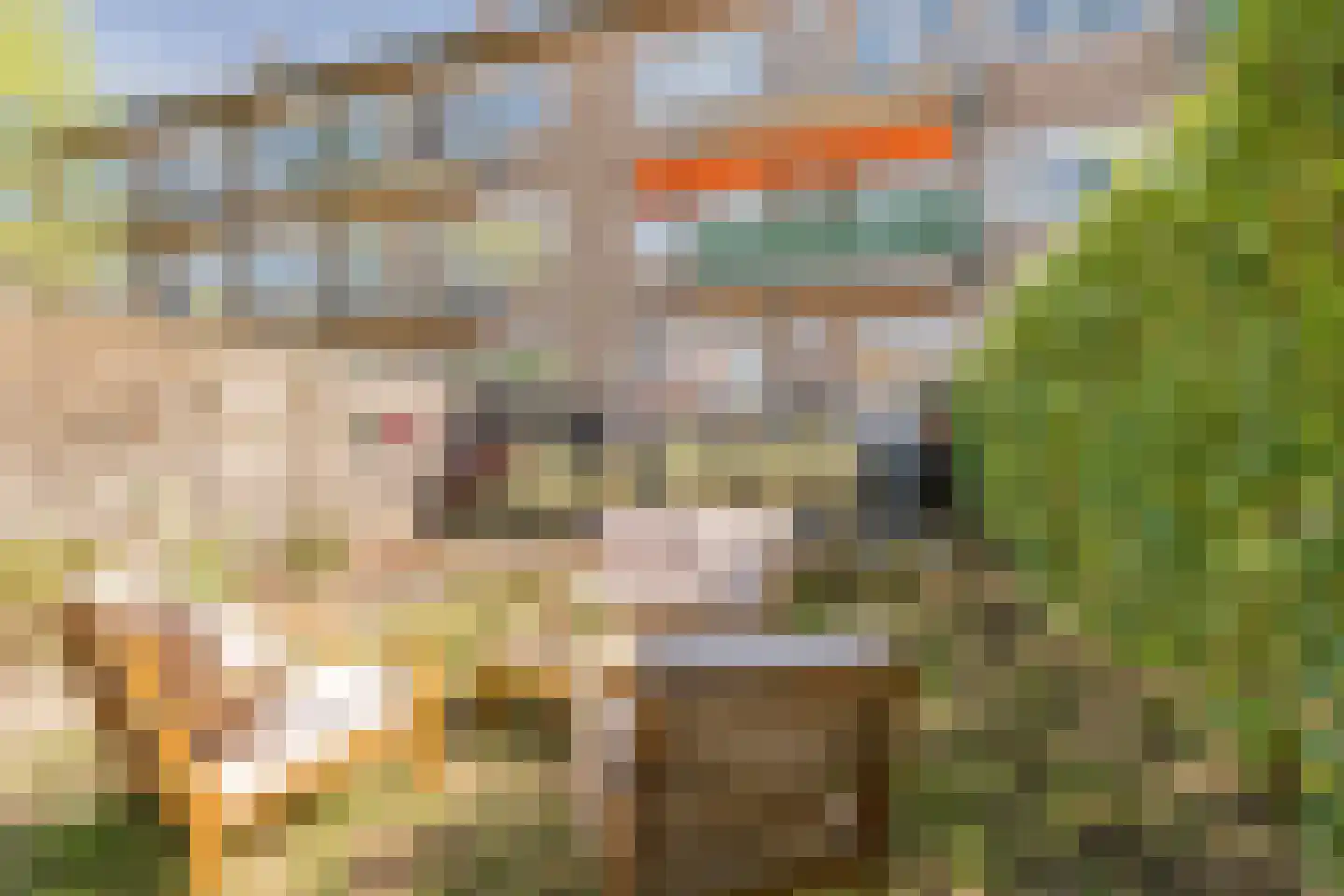 Ten Boomstraat 19 Hilversum thumbnail 35