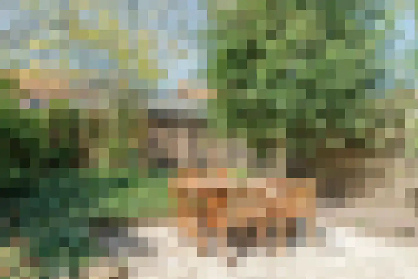 Ten Boomstraat 19 Hilversum thumbnail 9