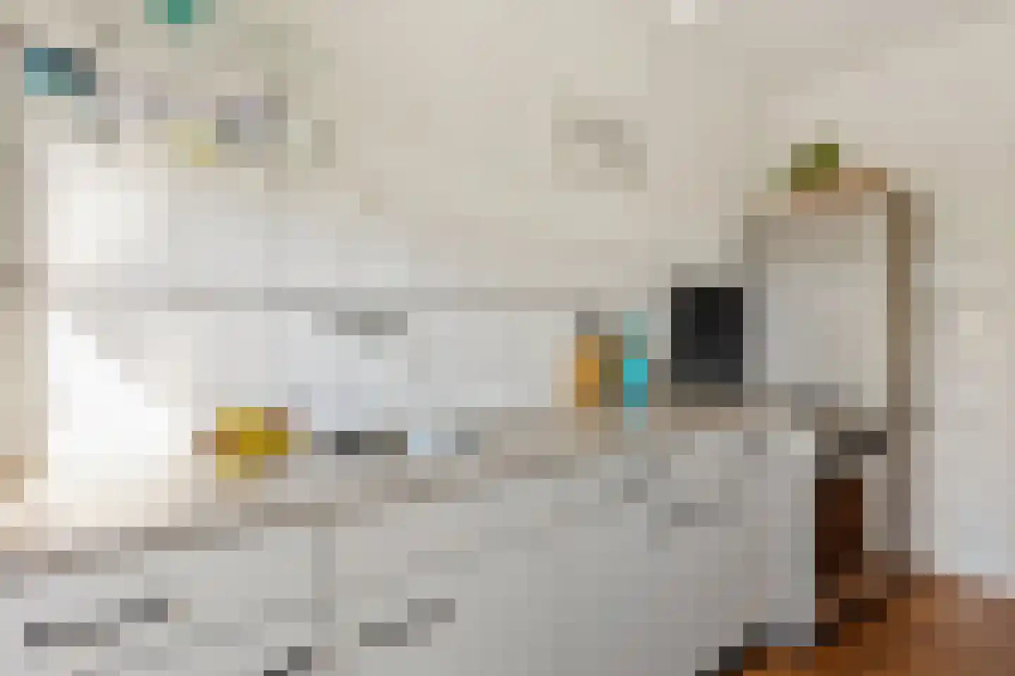 Ten Boomstraat 5 Hilversum thumbnail 10