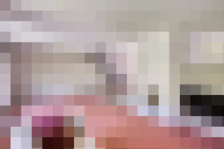 ten Borchwardlaan 61 Heeze thumbnail 10