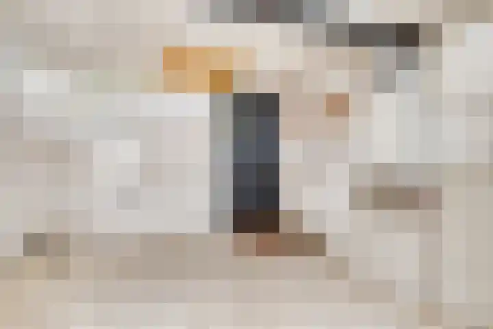 ten Borchwardlaan 61 Heeze thumbnail 13