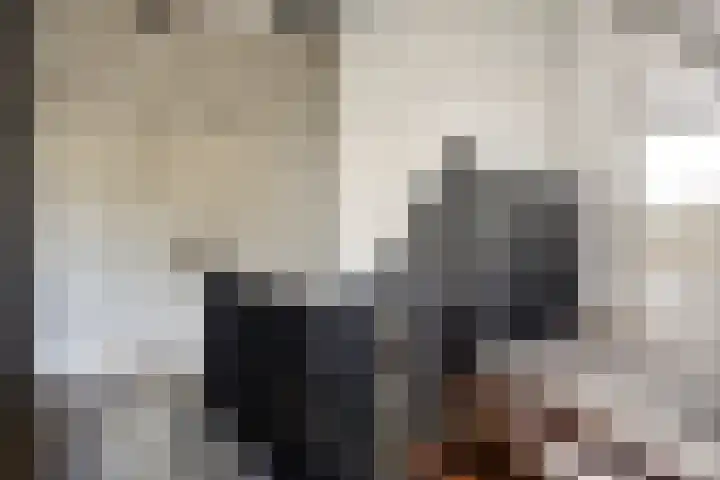 ten Borchwardlaan 61 Heeze thumbnail 16