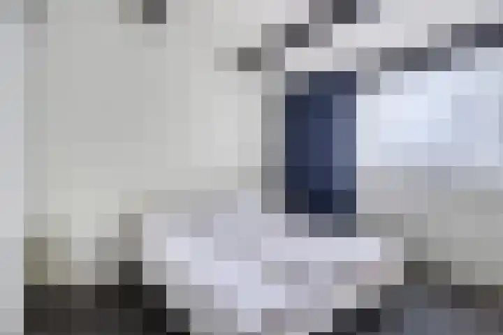 ten Borchwardlaan 61 Heeze thumbnail 17