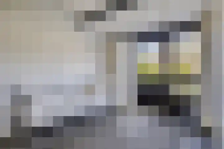 ten Borchwardlaan 61 Heeze thumbnail 20