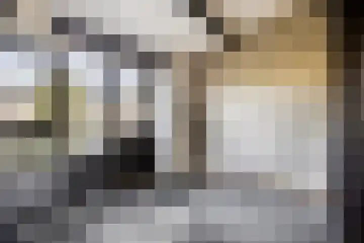 ten Borchwardlaan 61 Heeze thumbnail 21
