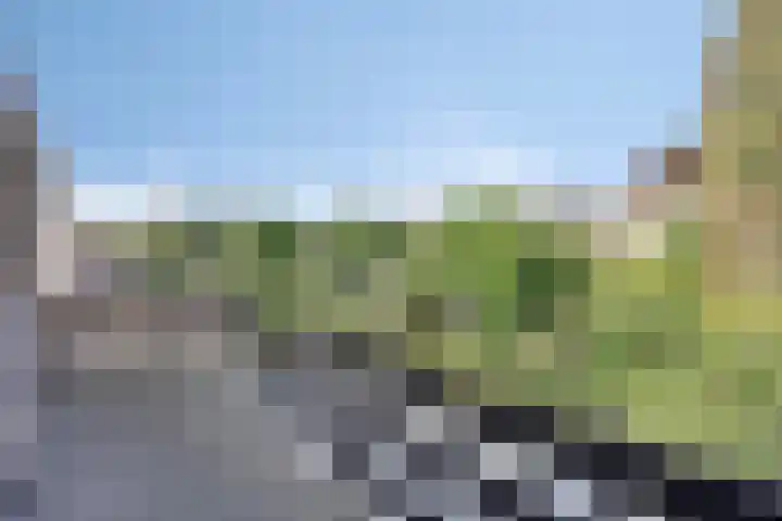 ten Borchwardlaan 61 Heeze thumbnail 24
