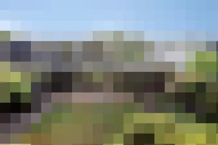 ten Borchwardlaan 61 Heeze thumbnail 25