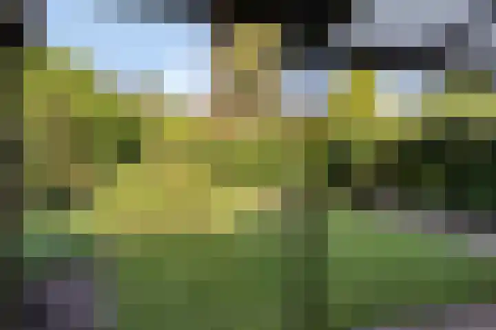 ten Borchwardlaan 61 Heeze thumbnail 27