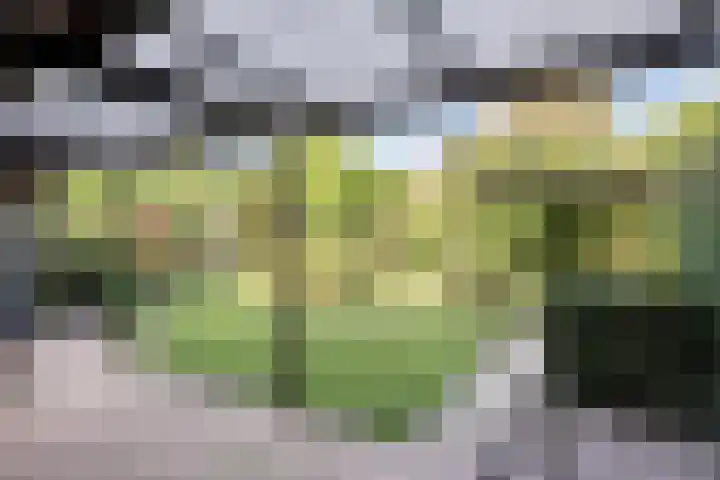 ten Borchwardlaan 61 Heeze thumbnail 28