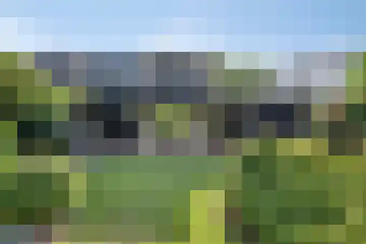 ten Borchwardlaan 61 Heeze thumbnail 29