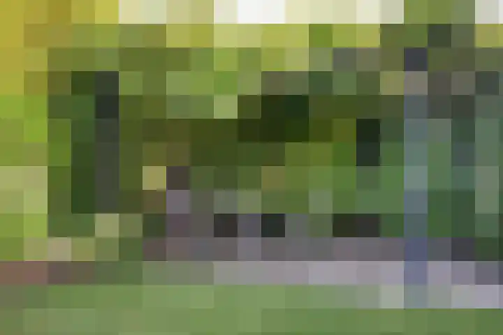 ten Borchwardlaan 61 Heeze thumbnail 30