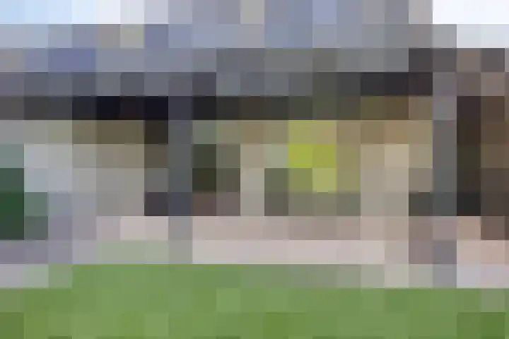ten Borchwardlaan 61 Heeze thumbnail 31
