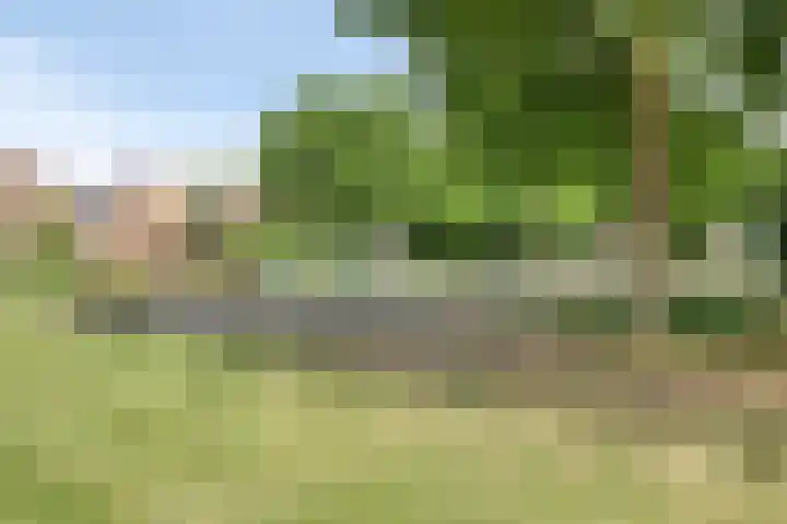 ten Borchwardlaan 61 Heeze thumbnail 32