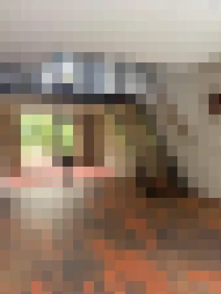 ten Borchwardlaan 61 Heeze thumbnail 4