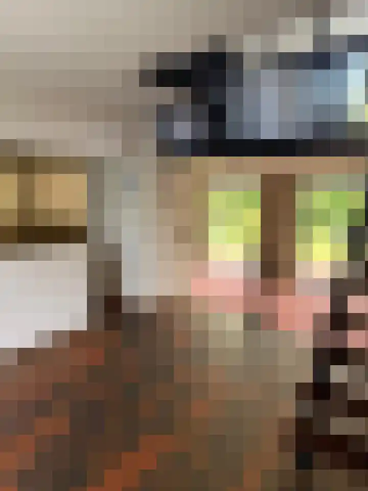 ten Borchwardlaan 61 Heeze thumbnail 5