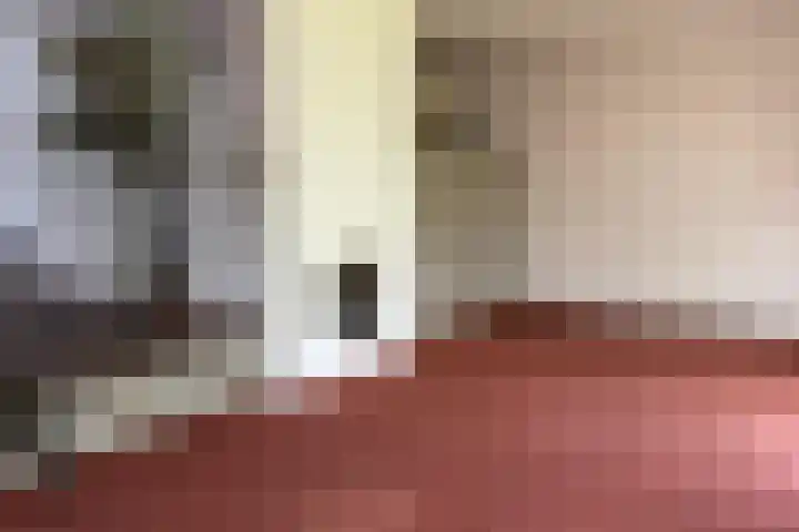 ten Borchwardlaan 61 Heeze thumbnail 7