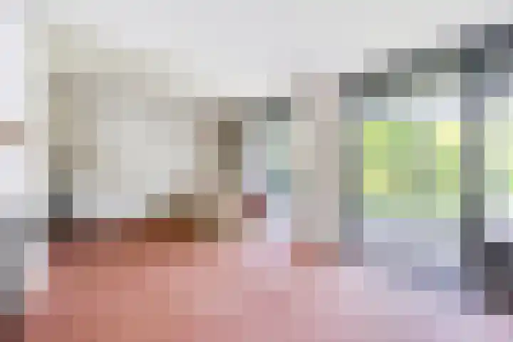 ten Borchwardlaan 61 Heeze thumbnail 8