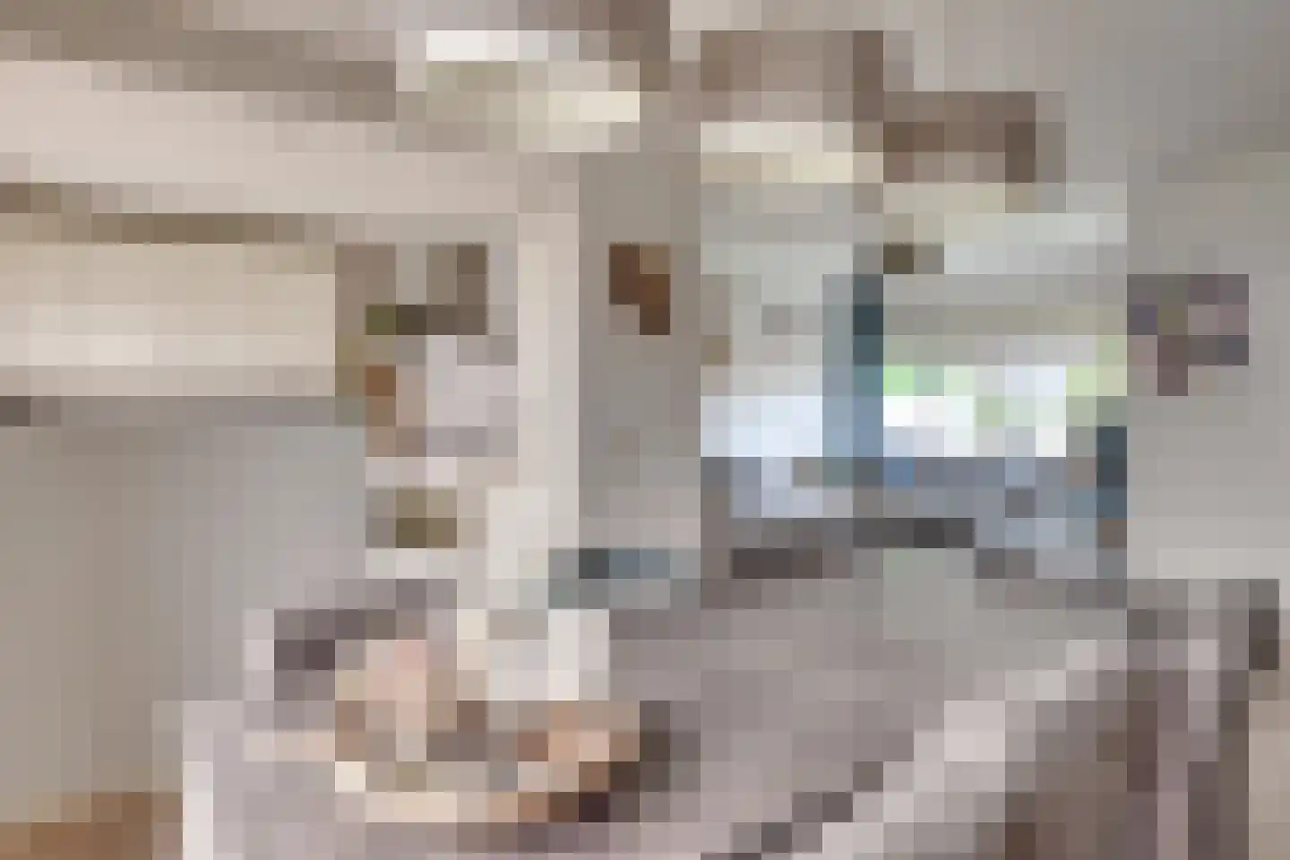 ten Borchwardlaan 62 Heeze thumbnail 12
