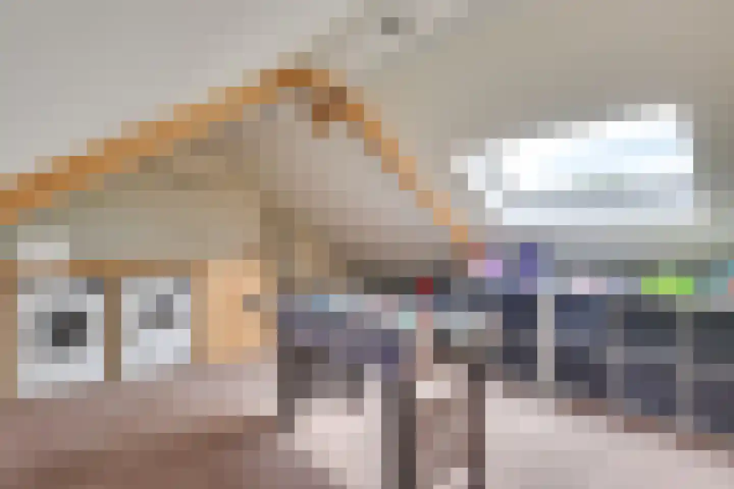 ten Borchwardlaan 62 Heeze thumbnail 27