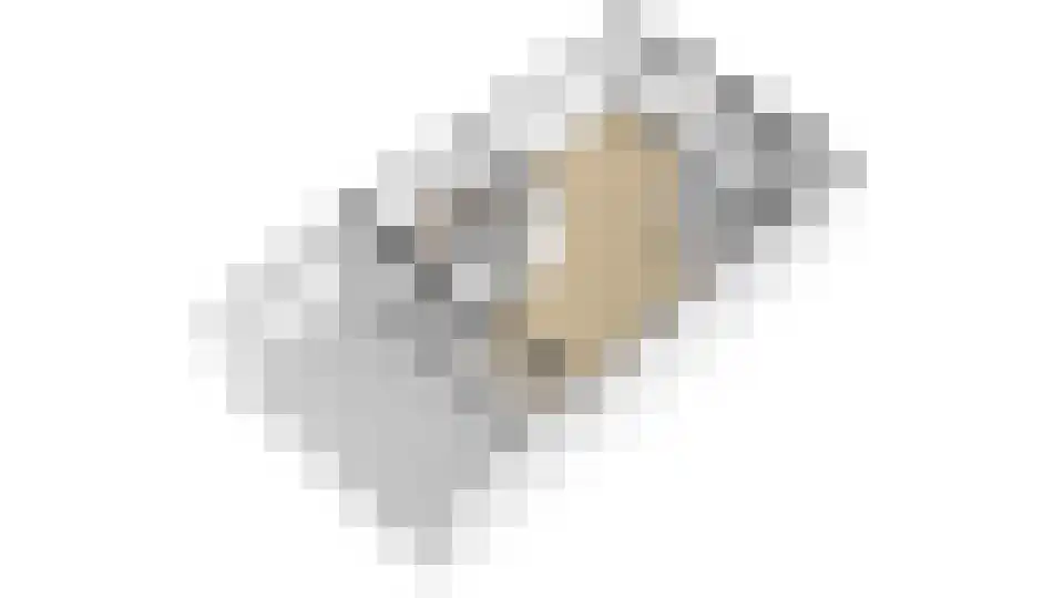 ten Borchwardlaan 62 Heeze thumbnail 34