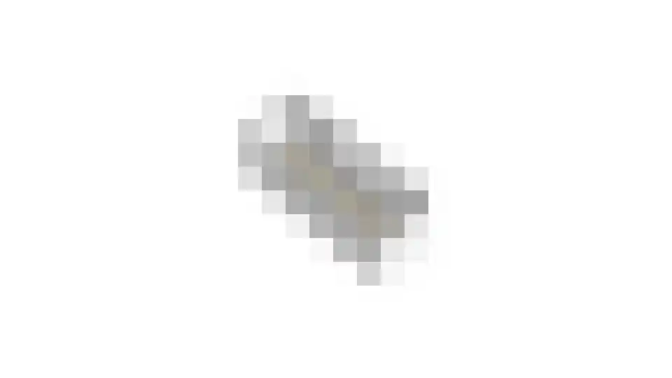 ten Borchwardlaan 62 Heeze thumbnail 37