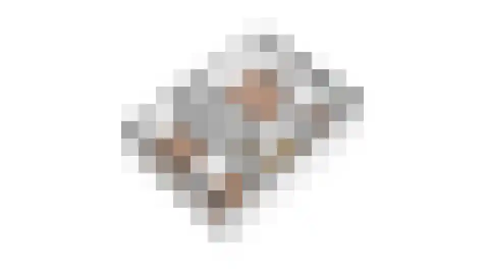 ten Borchwardlaan 62 Heeze thumbnail 40