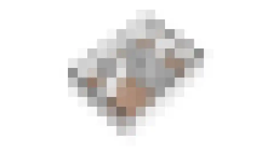 ten Borchwardlaan 62 Heeze thumbnail 41