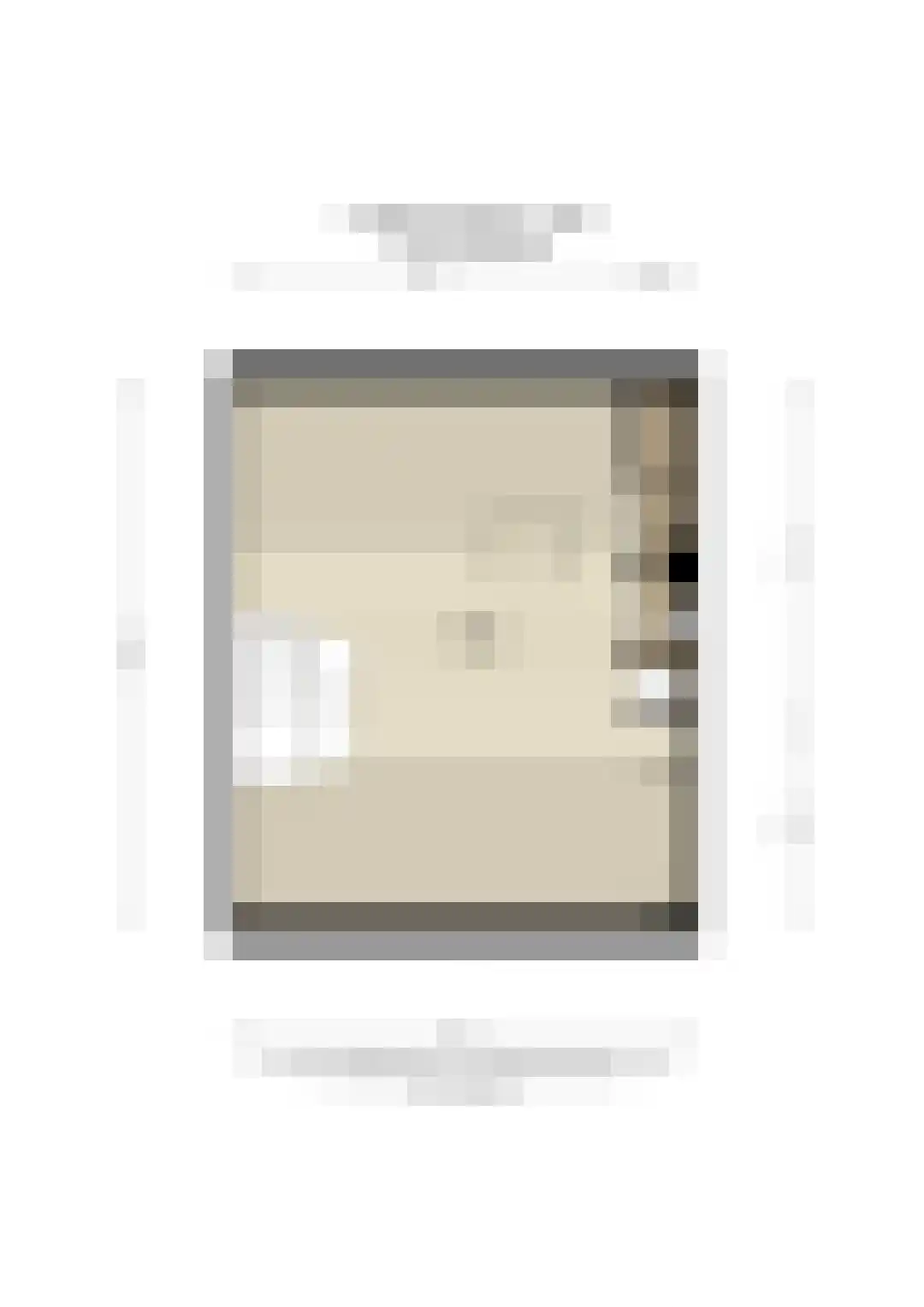 ten Borchwardlaan 62 Heeze thumbnail 42
